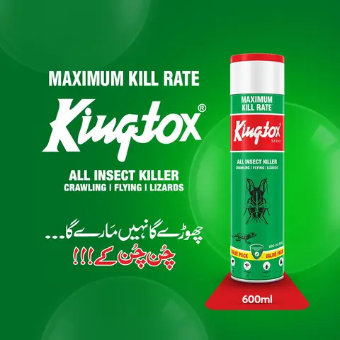 KINGTOX GREEN SPRAY 600ML